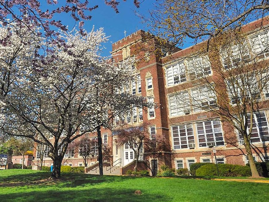 A campus building on a spring morning, framed by cherry blossoms